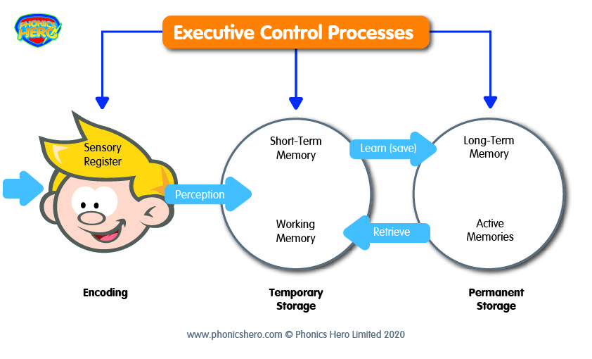 executive-control-processes and cognitive load