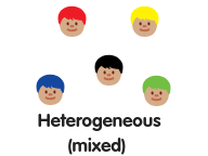 Grouping by Ability for Spelling - heterogeneous grouping.