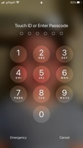 iphone password