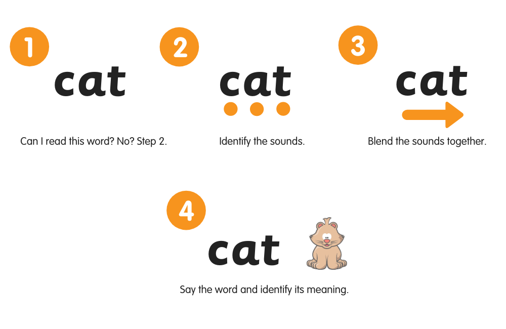 synthetic phonics and reading