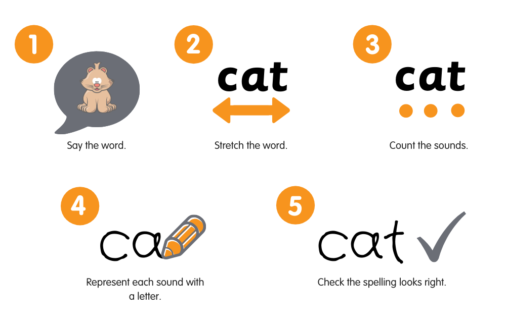 synthetic phonics and spelling