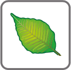 card_leaf