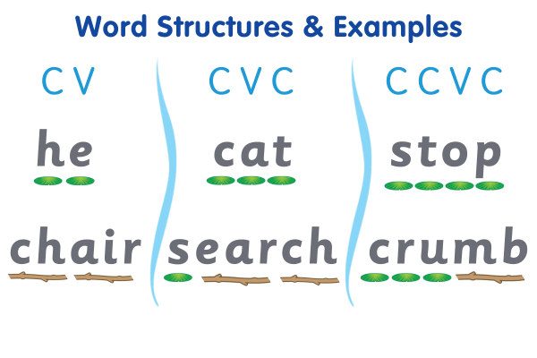 consonant and vowel words. He, she, cat, ship, stop, shrug