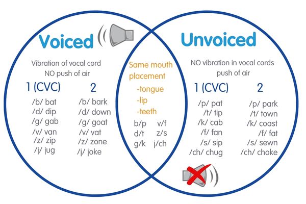 an image showing which phonemes are voiced or not